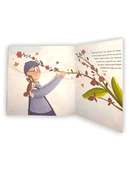 Aşure Ağacı