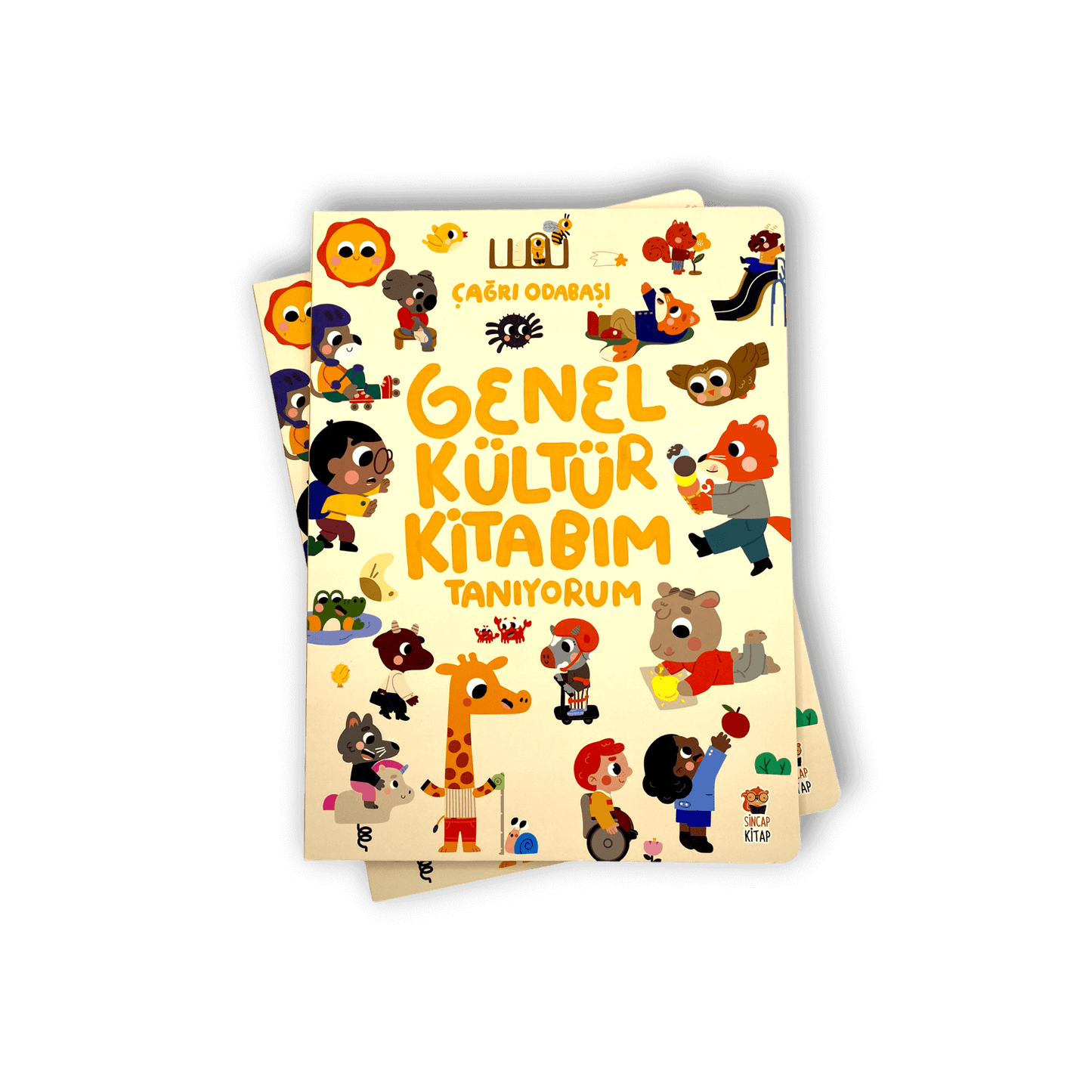 Genel Kültür Kitabım-Tanıyorum