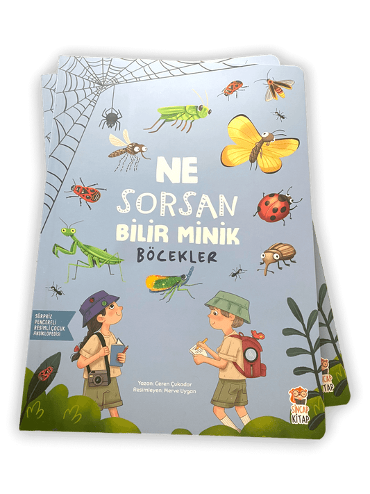 Ne Sorsan Bilir Minik-Böcekler - (Mein erstes Wimmelbuch über die Insekten)