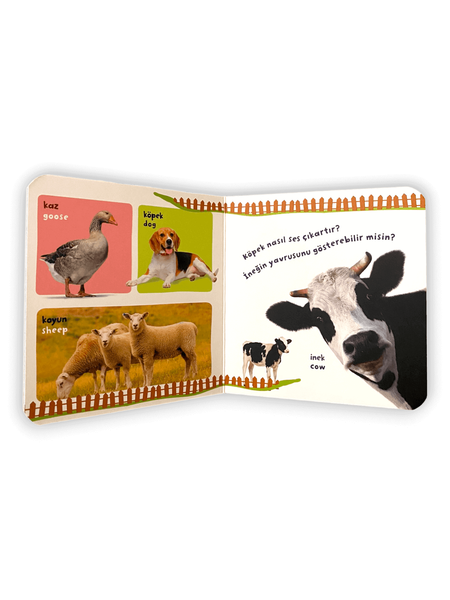 Laden Sie das Bild in den Galerie-Viewer, Bilgi Dolu İlk Kitaplarım - Hayvanlar Ailesi 4 kitap + Puzzle
