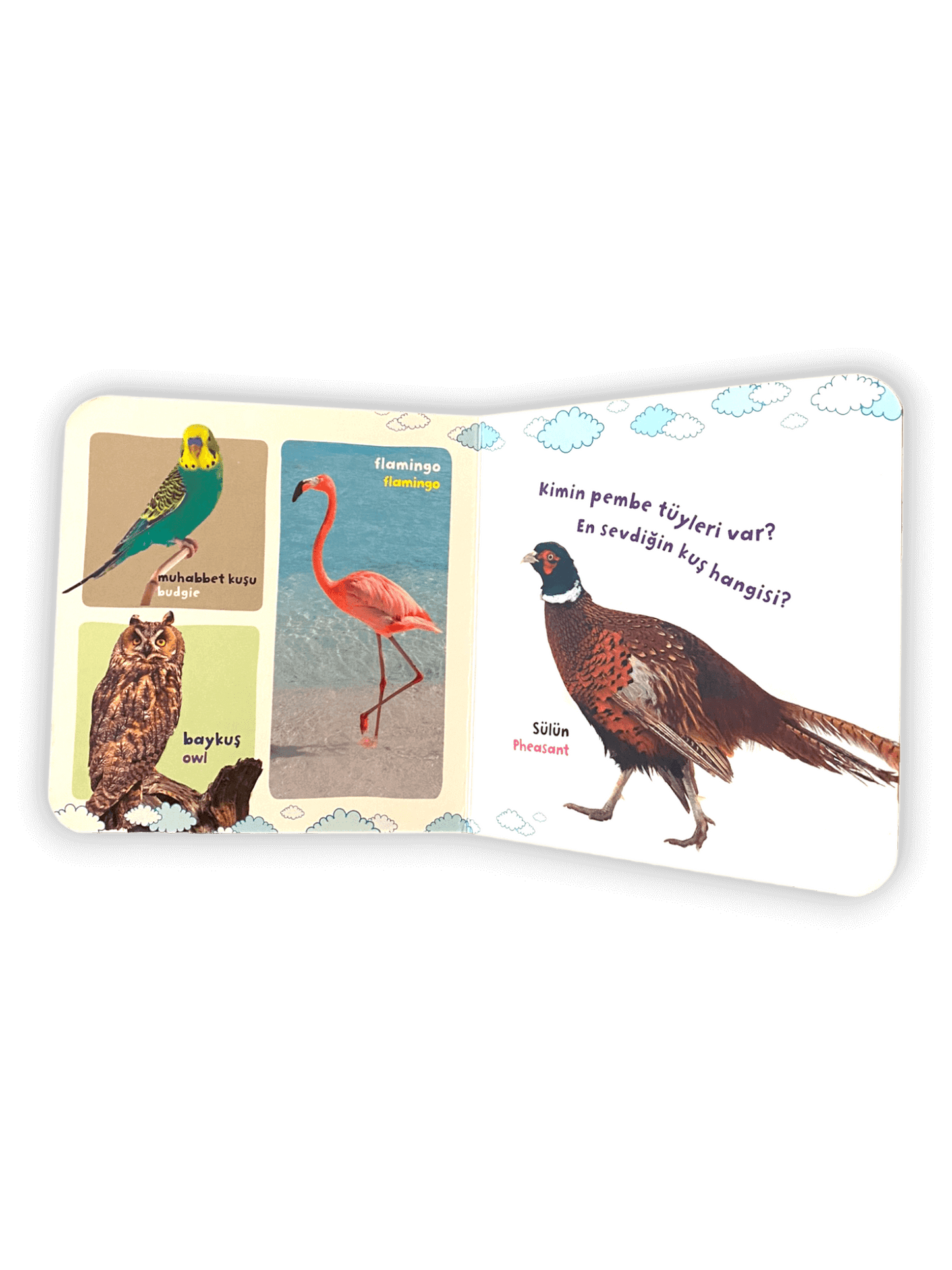 Laden Sie das Bild in den Galerie-Viewer, Bilgi Dolu İlk Kitaplarım - Hayvanlar Ailesi 4 kitap + Puzzle
