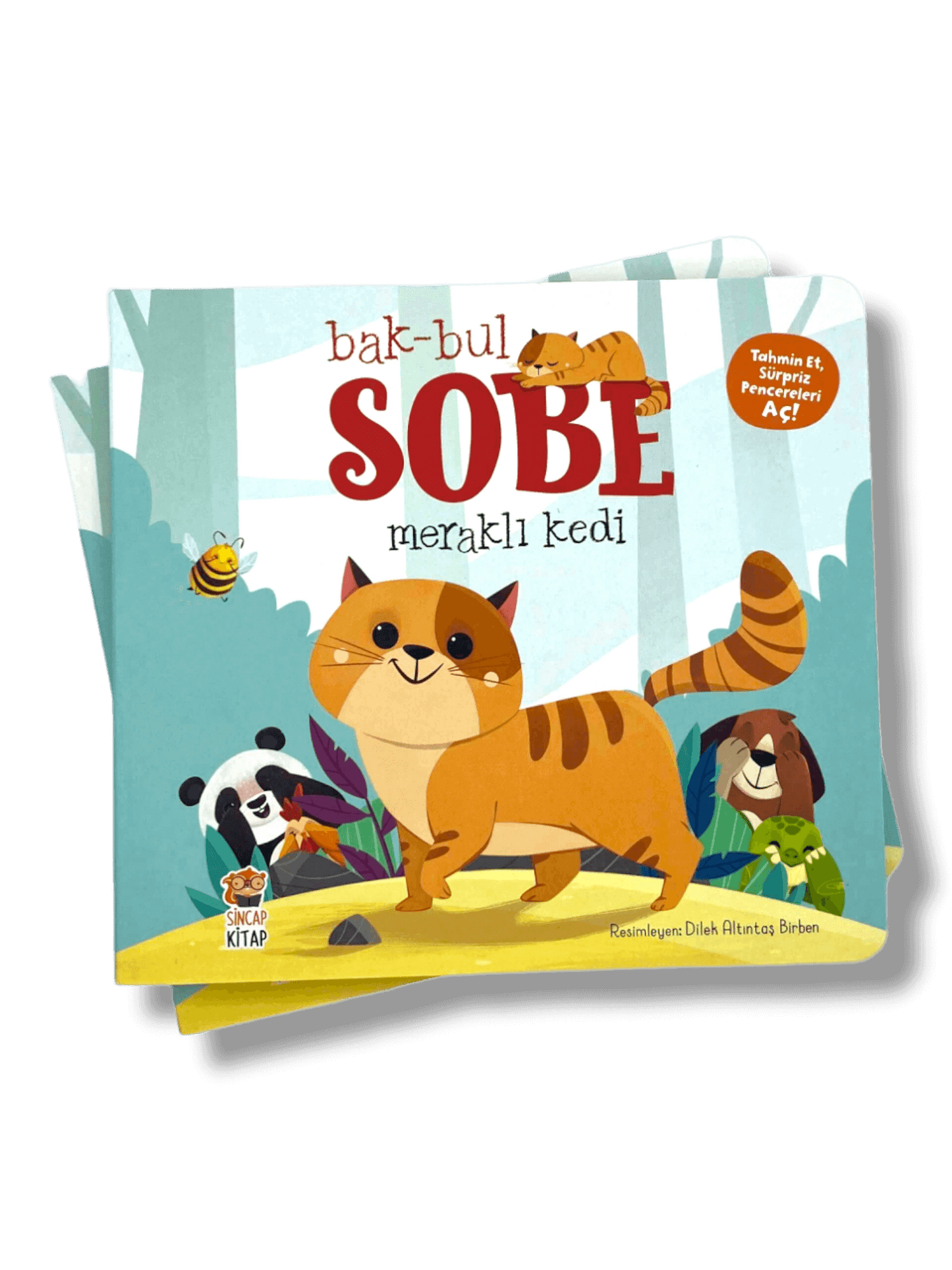 BAK - BUL - SOBE MERAKLI KEDI - (SEARCH - FIND - THE CURIOUS CAT)