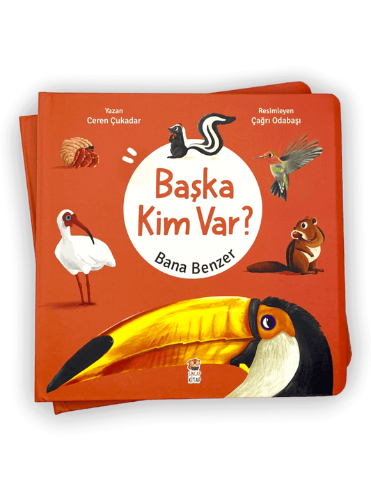 Başka Kim Var Bana Benzer (Hareketli-Popup Kitap)