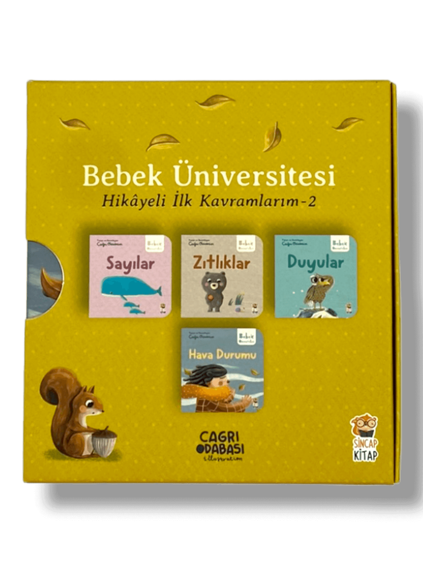 Bebek Üniversitesi [2] Set 4 kitap - (Baby Universität)