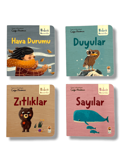 Bebek Üniversitesi [2] Set 4 kitap - (Baby University)