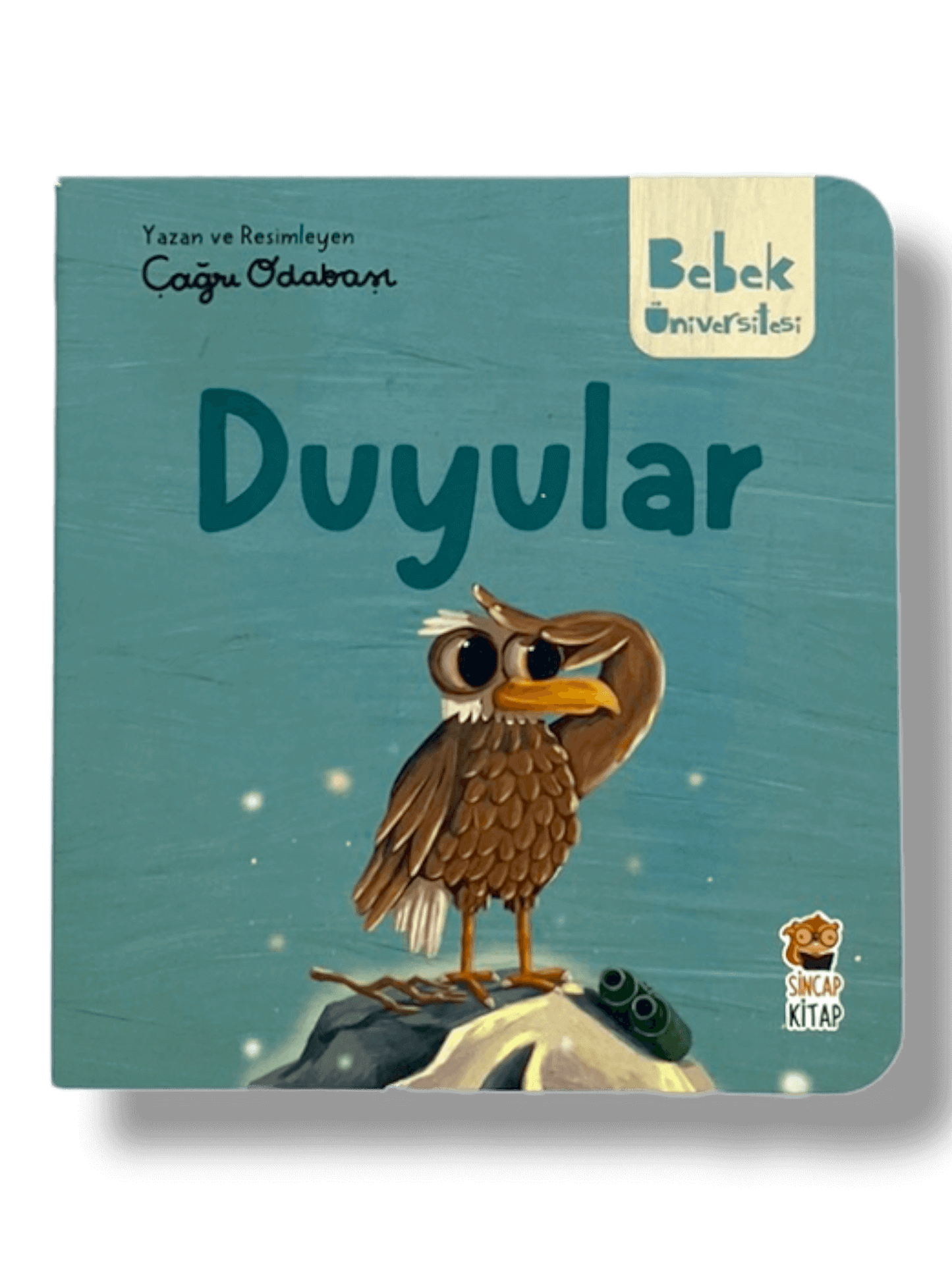 Bebek Üniversitesi [2] Set 4 kitap - (Baby University)