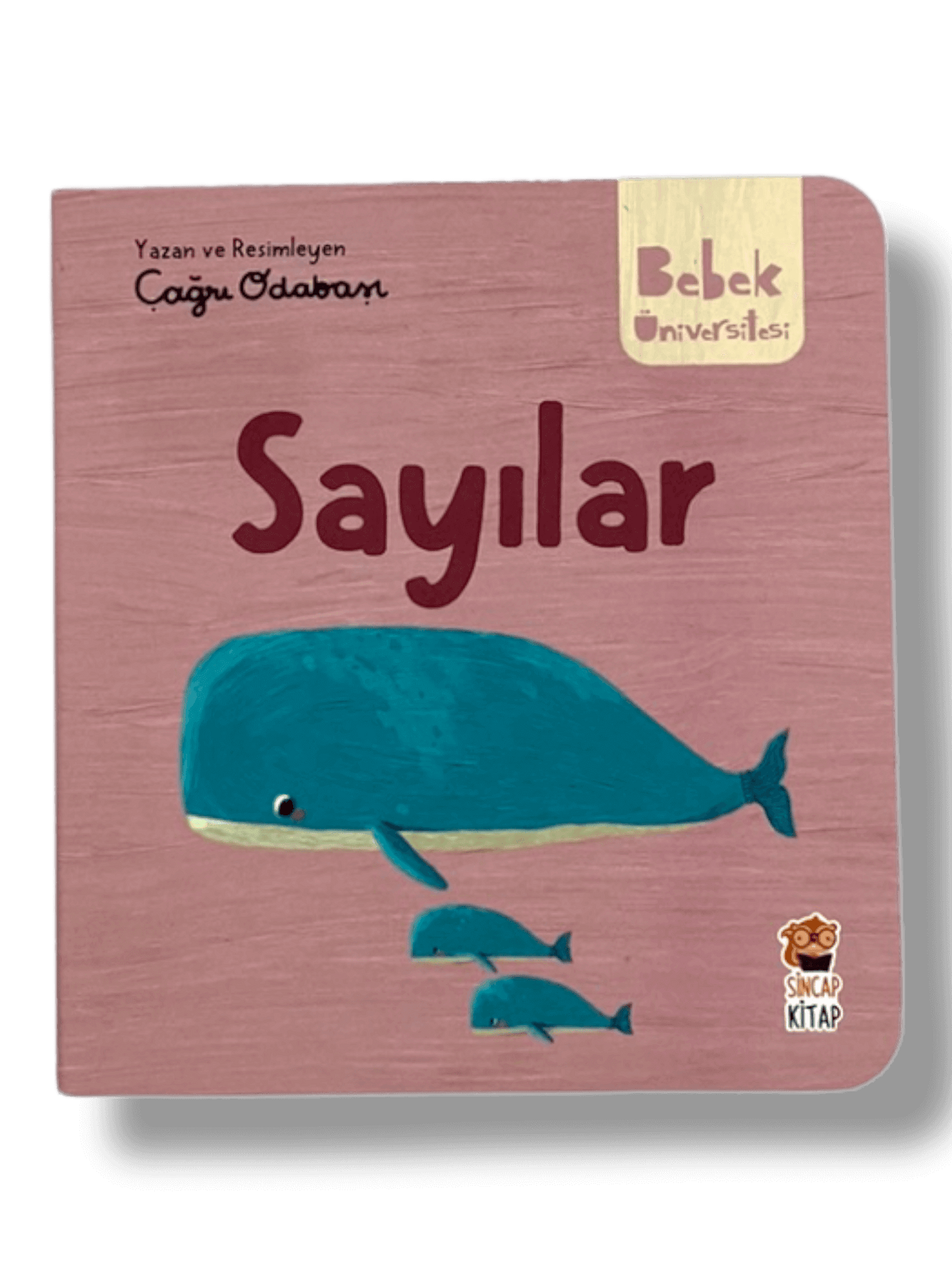 Bebek Üniversitesi [2] Set 4 kitap - (Baby University)