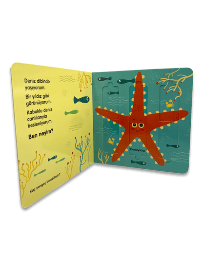 Kaydır & Gör Kitaplar – Denizdeki Canlılar - (Unterwasser Tiere)