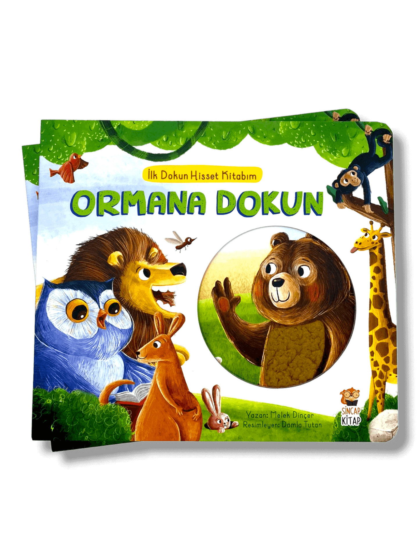 ORMANA DOKUN🌿 ILK DOKUN HISSET KITABIM (Mein erstes Fühlbuch)