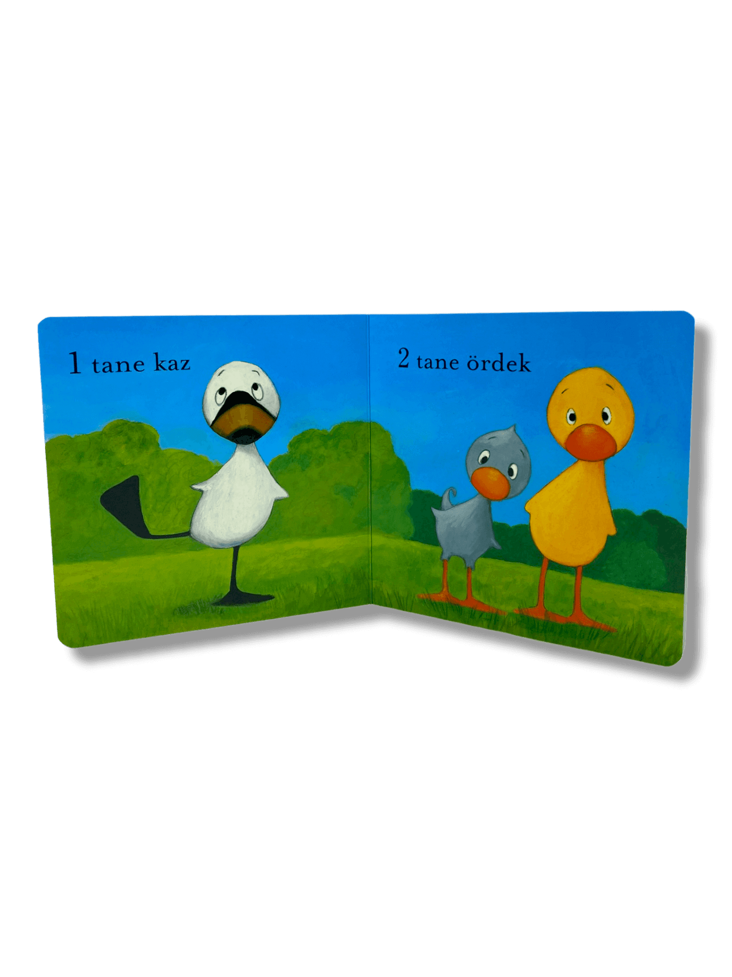Ördek ile Kaz - 1 2 3 - (Ente und Ganz 1,2,3)