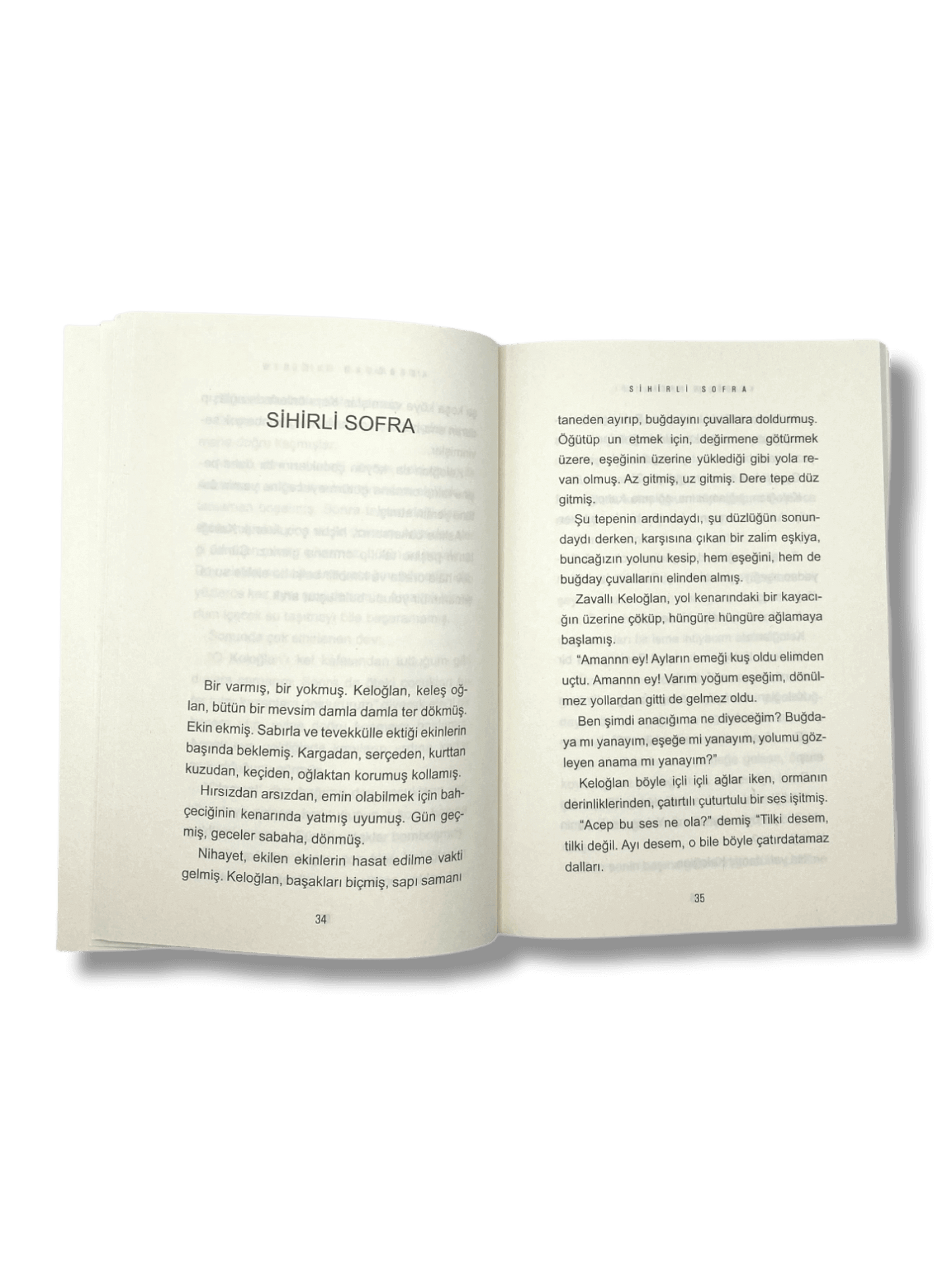 En Güzel Keloğlan Masalları - Türkisches Kinderbuch