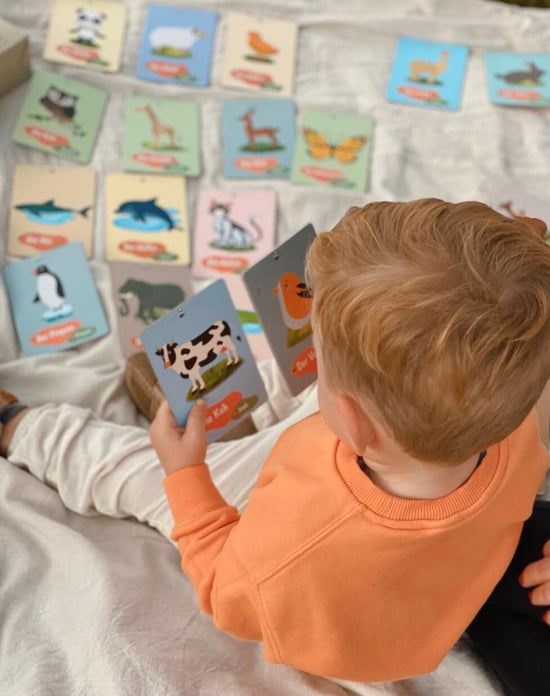 Bündel Angebot : Montessori Regenbogen Kugeln & Lernkarten